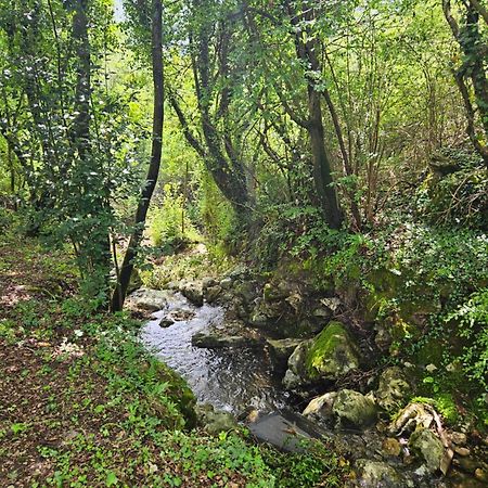Villa Rada Igalo Buitenkant foto