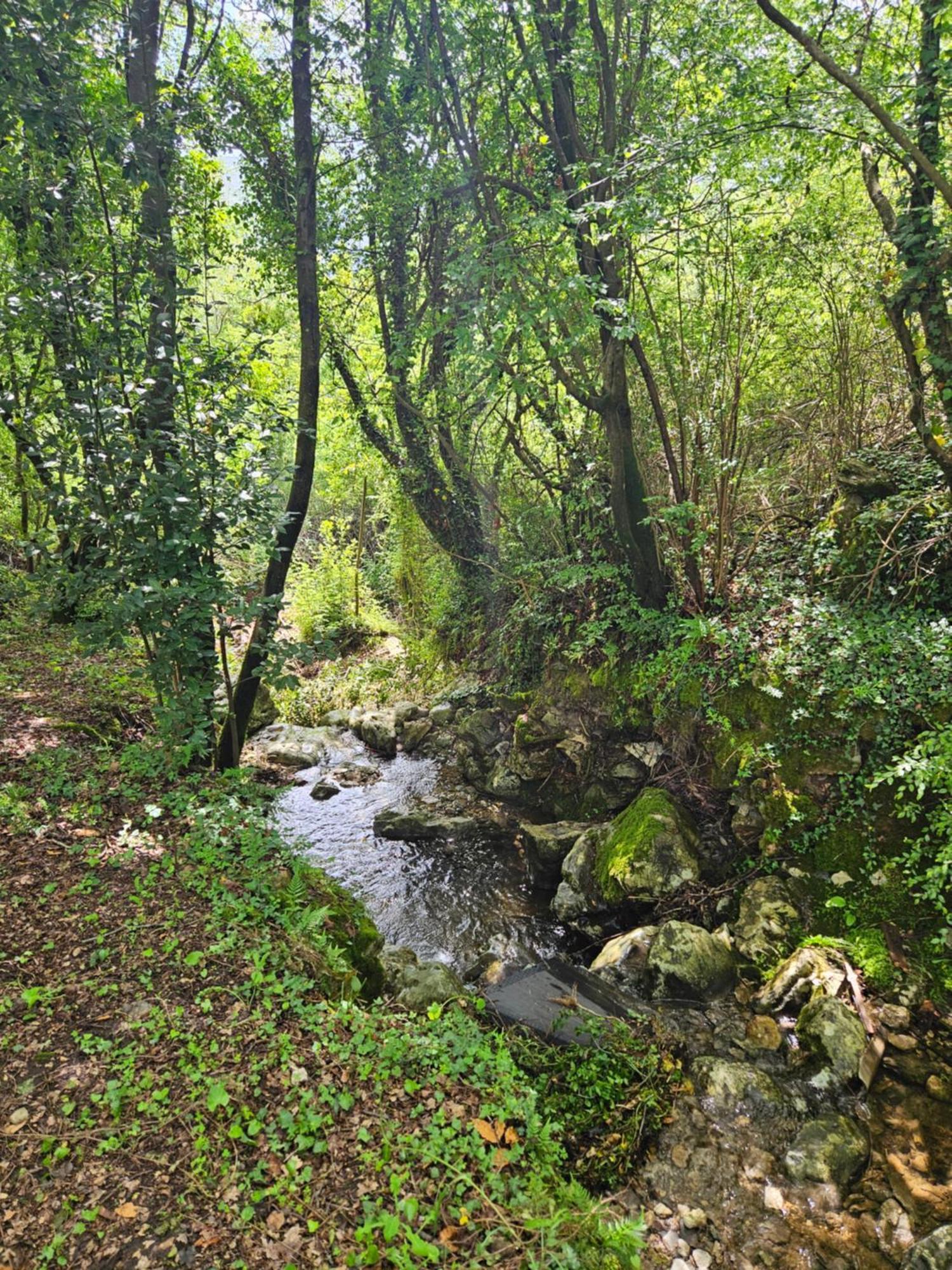 Villa Rada Igalo Buitenkant foto